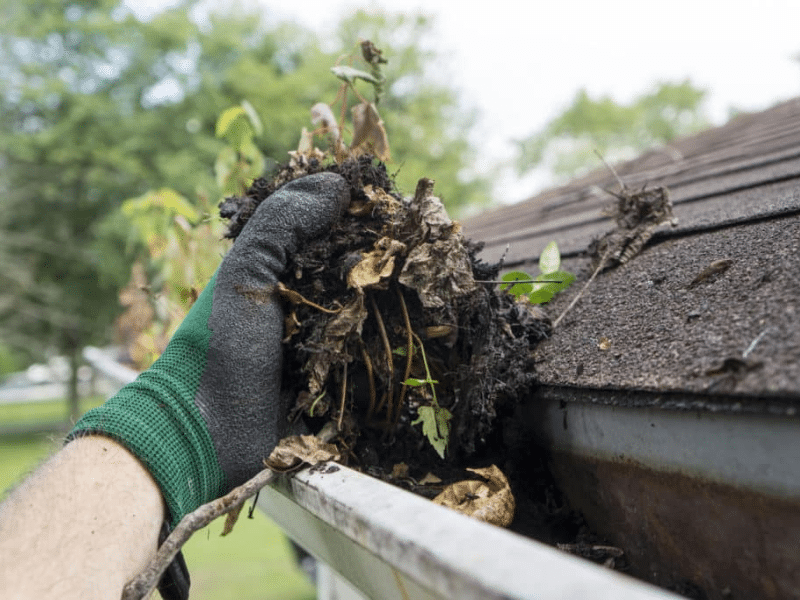 Gutter Clean Out Services Greenville SC